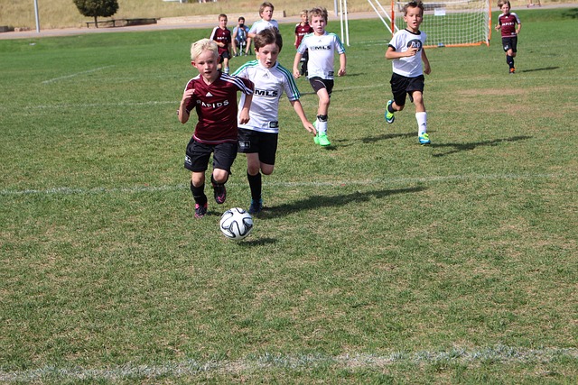 欧博游戏有限公司官网-欧博ALLBET直营官网